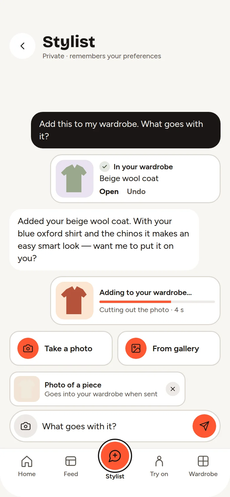 The chat with a photo of a garment attached to add it to the wardrobe.